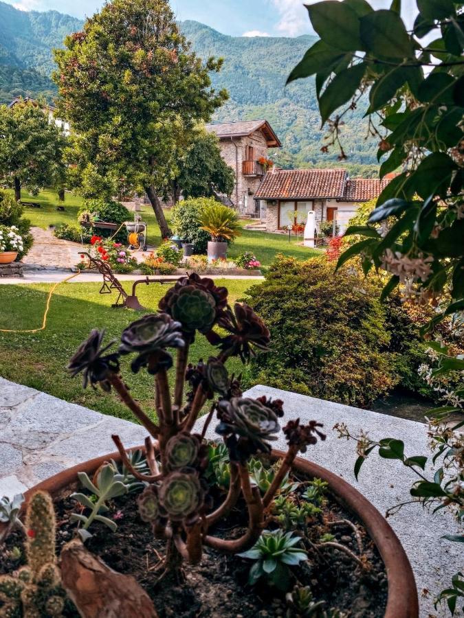 La Volta - Lake Como Heritage Home In Molino Maufet Watermill - Patio On The Garden Colico Exteriör bild